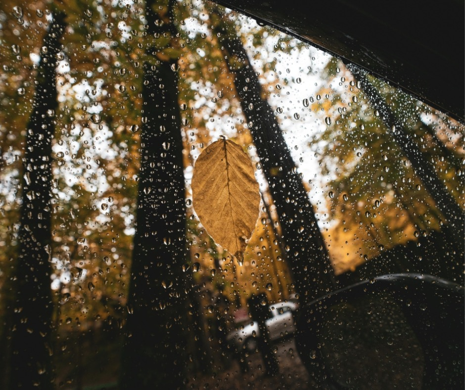 szyba samochodowa, odbija się w niej jesienny widok, na szybie są kropelki wody i liść